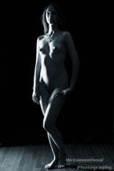 Standing nude / Gabrielle Rineer